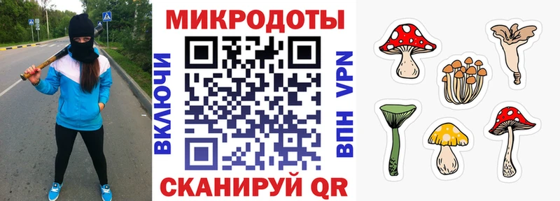 Галлюциногенные грибы мицелий Никольск